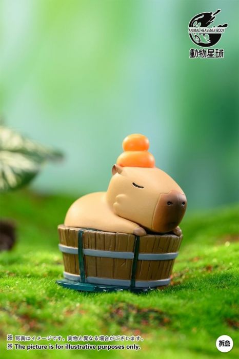 動物星球盲盒系列 - 卡皮巴拉水豚系列
