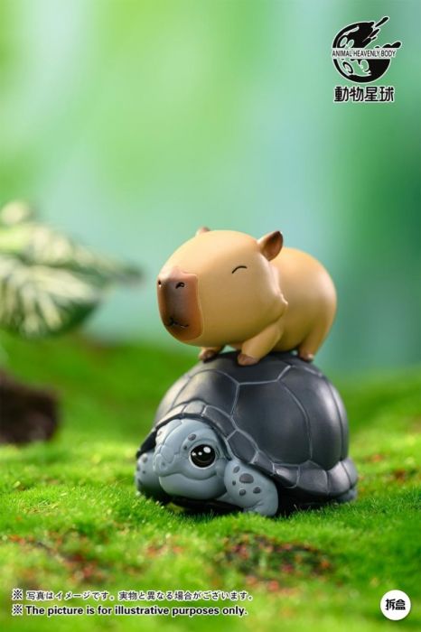 動物星球盲盒系列 - 卡皮巴拉水豚系列