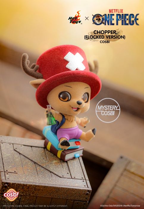 Hot Toys Cosbi 盲盒迷你珍藏人偶系列 CBX317 - Netflix 海賊王系列